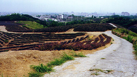 khhmt0.JPG (55958 bytes)